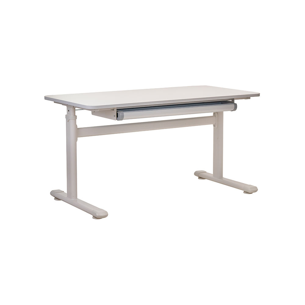 Popular White Minimalist Height Adjustable Electric Computer Desk with Drawer Iron Home School Study