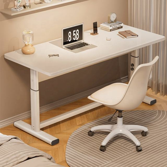 Modern Height Adjustable Desk Ergonomic Study Table for Students