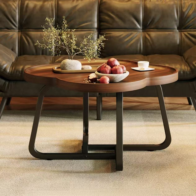 Modern Small Size Coffee Table for Living Room Durable Easy Clean Simple Sofa Side Table 分享