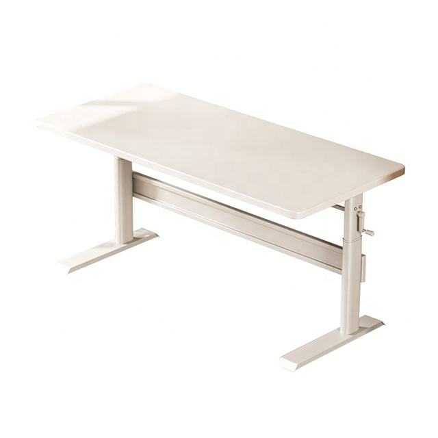 Modern Height Adjustable Desk Ergonomic Study Table for Students