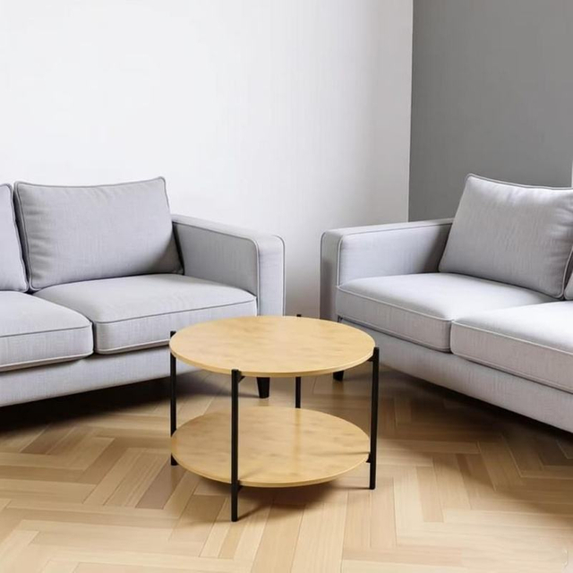 Modern Simple 2-Tier Round Coffee Table Black Metal Frame Storage For Home