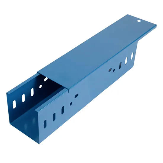 New Customized Colorful Powder Coated Ladder Type Cable Tray for Data Center