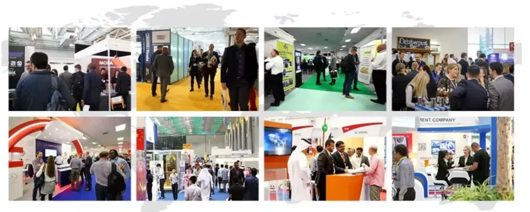 Premium Fiber Optic Network Cables for Enhanced Internet Performance