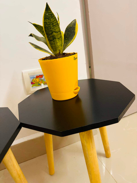 Smart Art Carved Folding Wooden Stool Plant Pot Stand Modern Home Decor Wood Craft