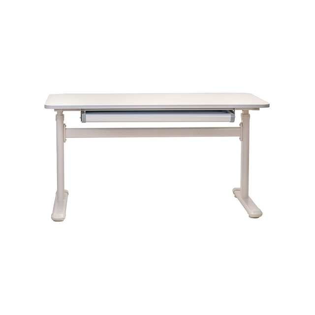 Popular White Minimalist Height Adjustable Electric Computer Desk with Drawer Iron Home School Study